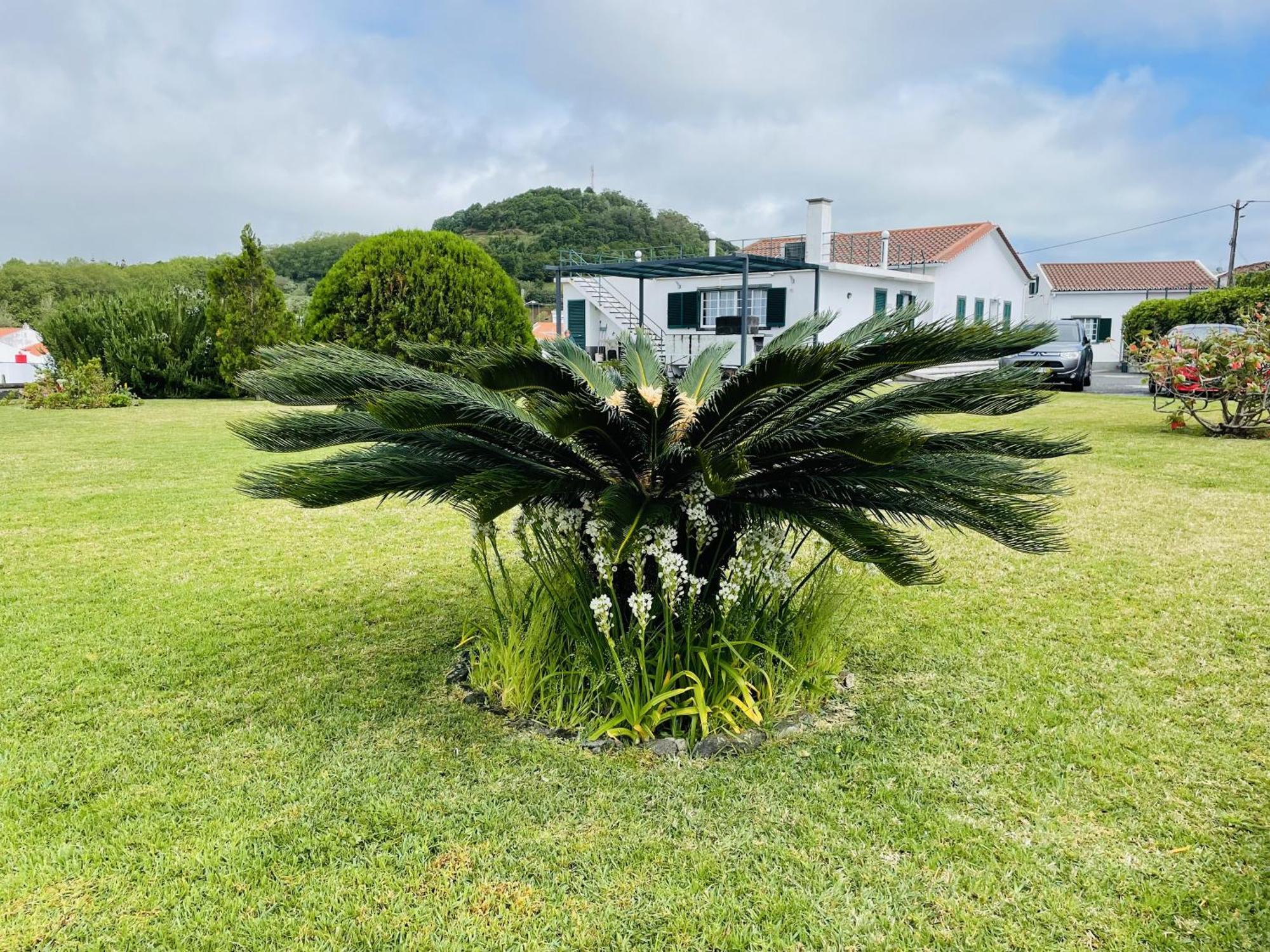 הוילה Ponta Delgada Casa Da Faja מראה חיצוני תמונה